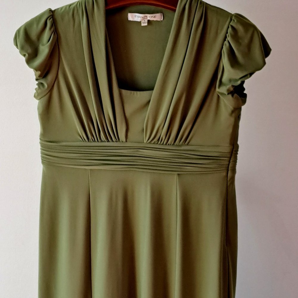 Jane Austen Cottagecore style fit and flare dress